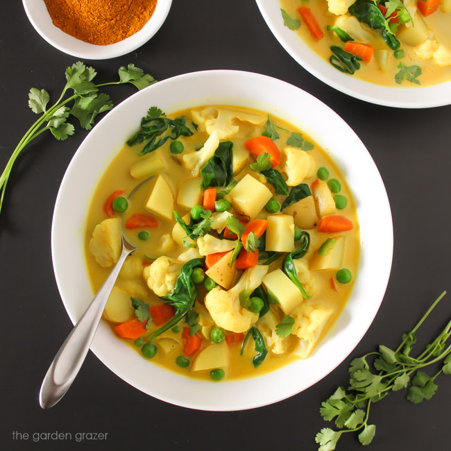 The Garden Grazer Vegetable Curry Soup (30 minute!)