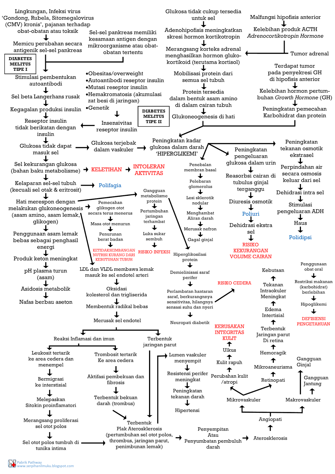 Pathway Diabetes Melitus - vrogue.co