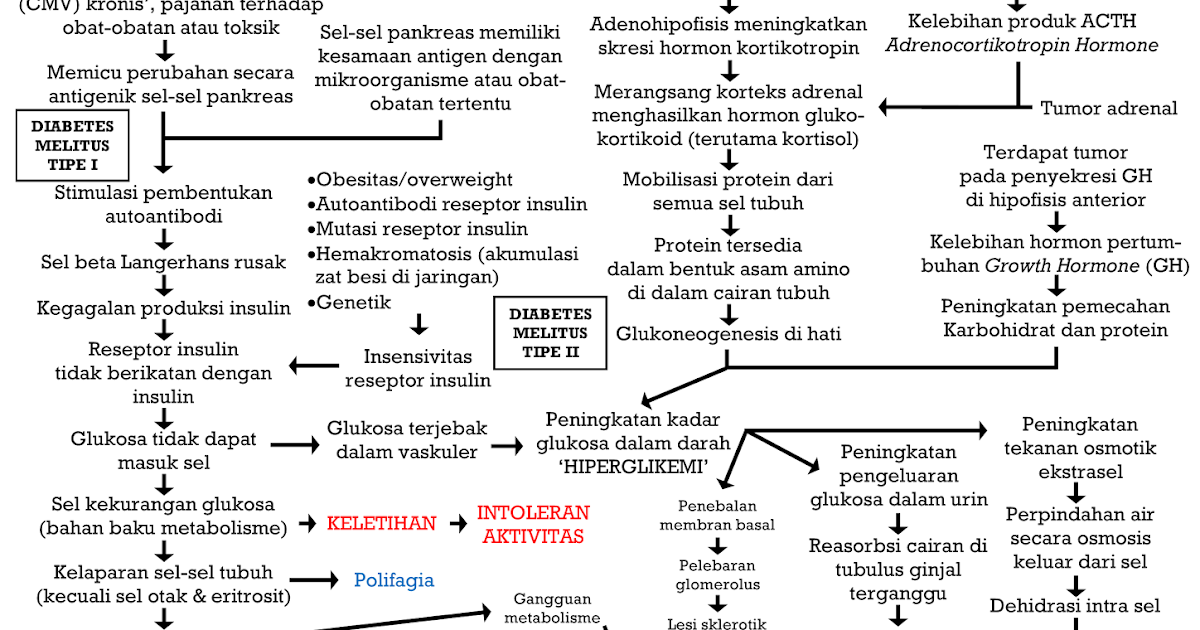 Pathway Diabetes Melitus