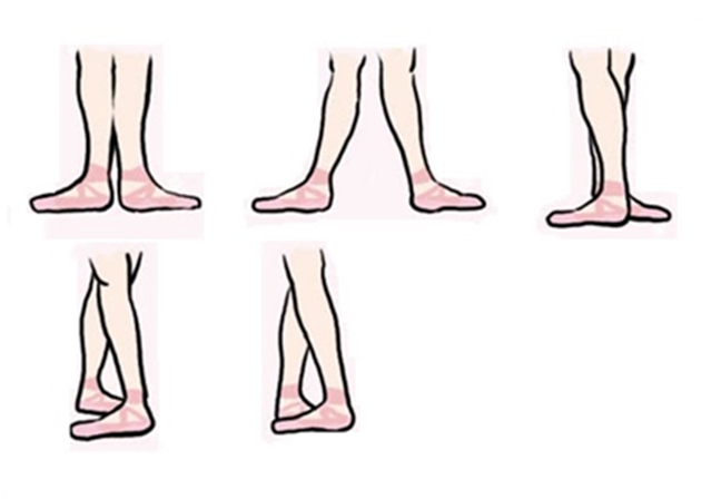 walkers-posiciones-basicas-del-ballet-basic-ballet-positions