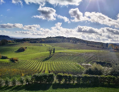 colombaio di santa chiara cantina san gimignano