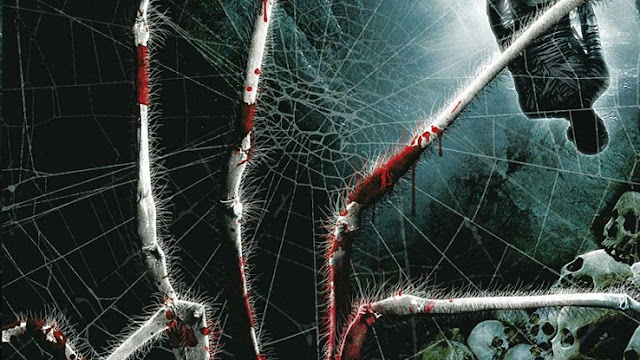 Spider Forest Spider Forest
