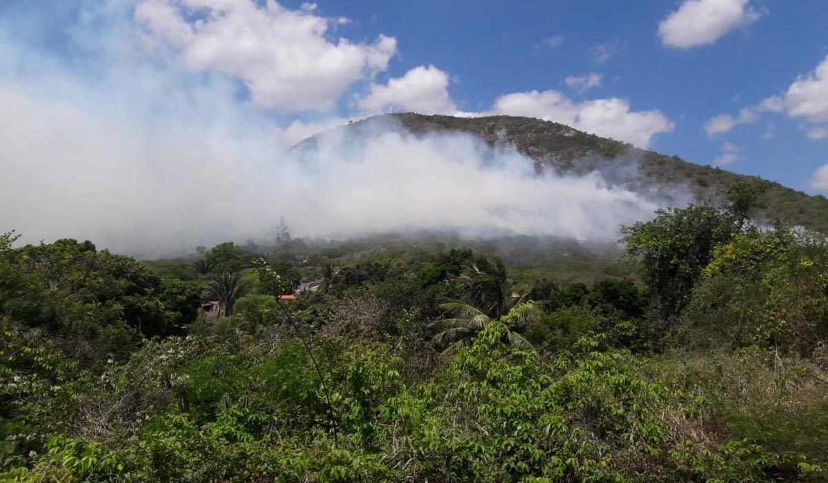 Incêndio atinge serra na região do Coxo de Fora em Jacobina