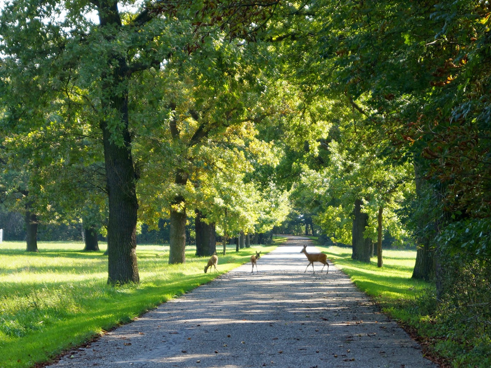 Schlosspark Laxenburg: Die Tafel ist reichlich gedeckt