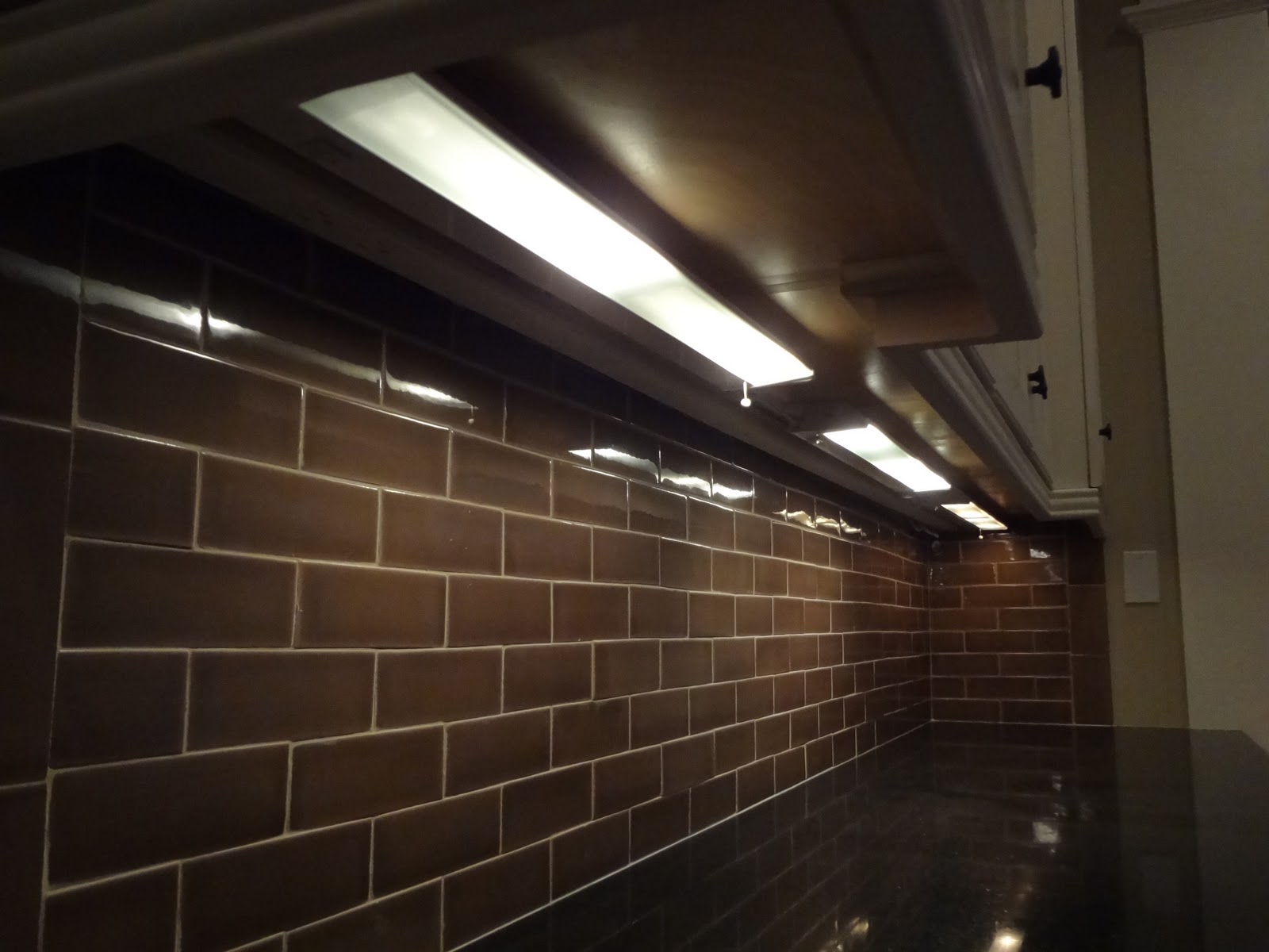 DaVinci Electric Steele Creek New Home