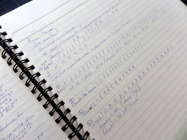 PikiThins Notebook Another Genre The Rough Narrative