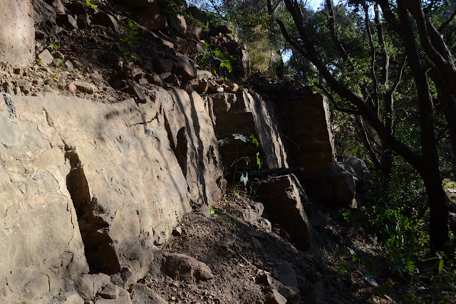 foundation