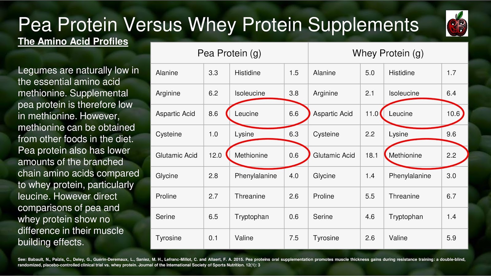 Pea Protein Versus Whey Protein Supplements