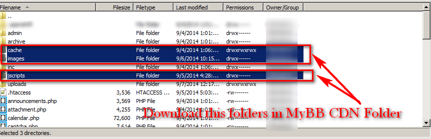[Image: mybb-cdn-upload-file.png]
