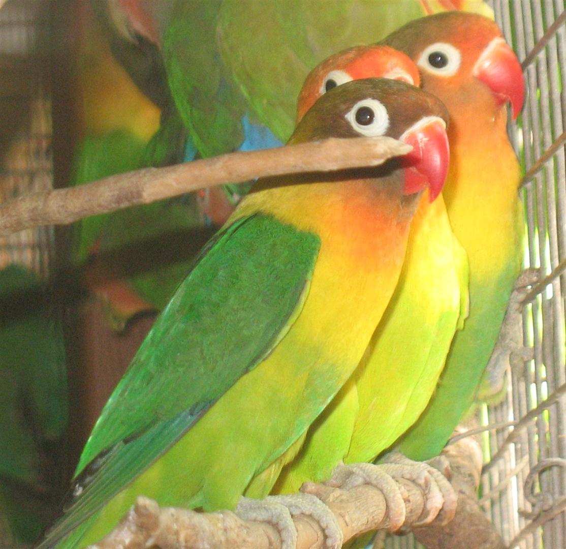 My Image 22