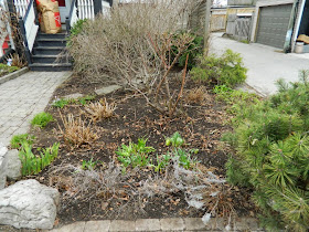Spring garden clean up Leslieville after Paul Jung Gardening Services Toronto