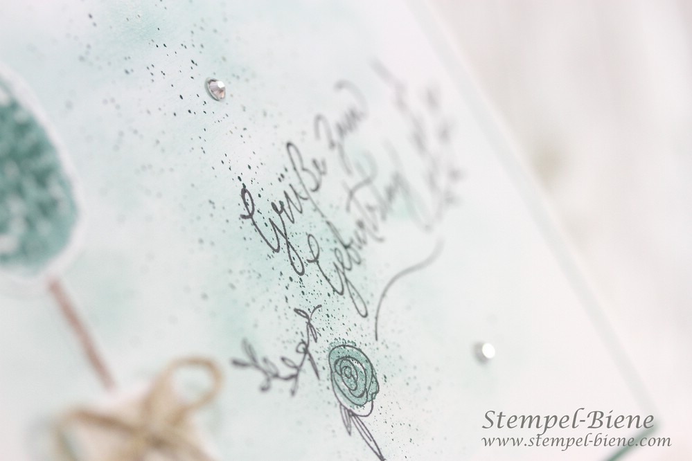Stempel Biene Happy Birthday Mit Stampin Up Paint Play