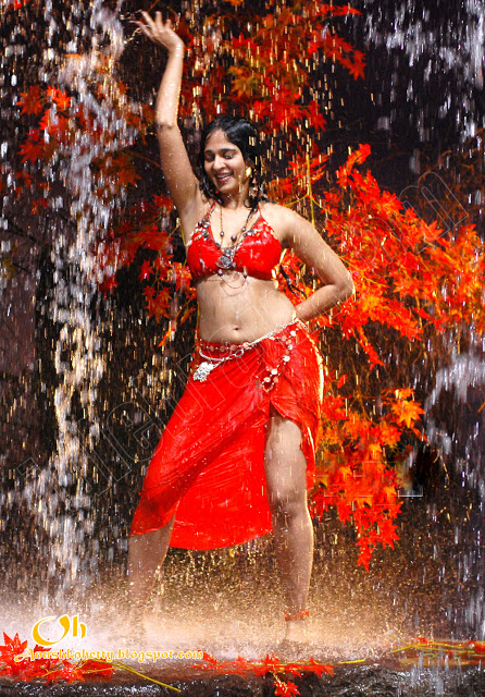 Anushka Shetty wet photos, Anushka Shetty sexy legs, Anushka Shetty navel photos
