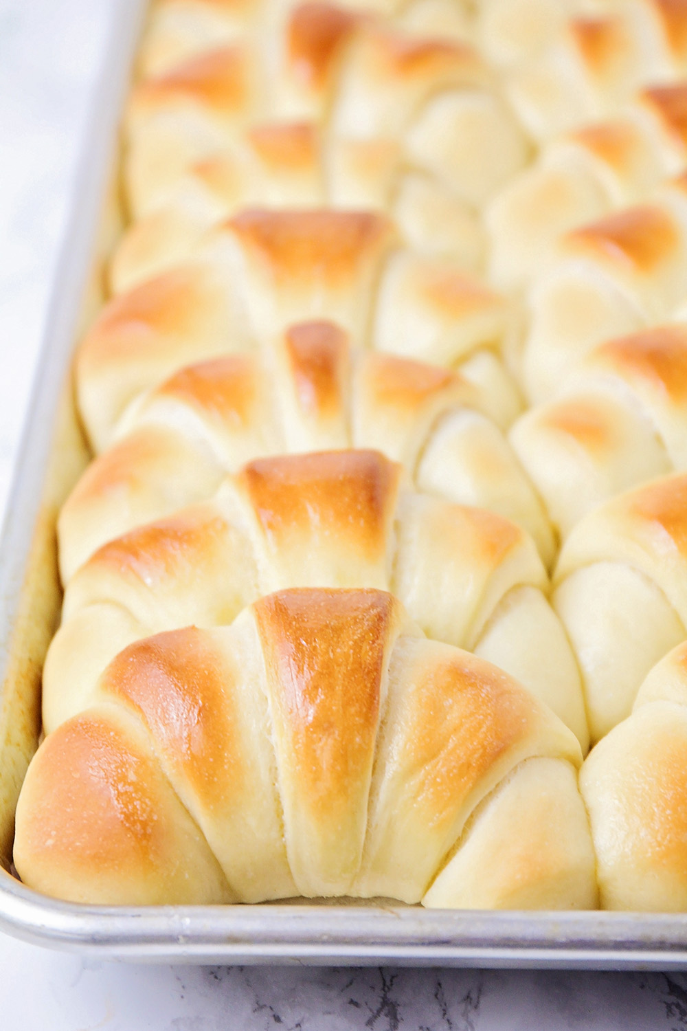 These delicious crescent rolls turn out perfect every single time, and are so easy to make!