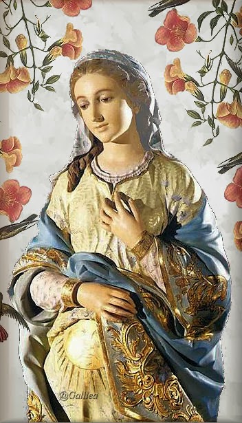Santa María, Madre de Dios y Madre nuestra: Adviento, La Virgen María