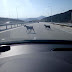 Θεσπρωτία: Κατσίκια κόβουν βόλτες επάνω στον αυτοκινητόδρομο της Εγνατίας Οδού (+ΦΩΤΟ)