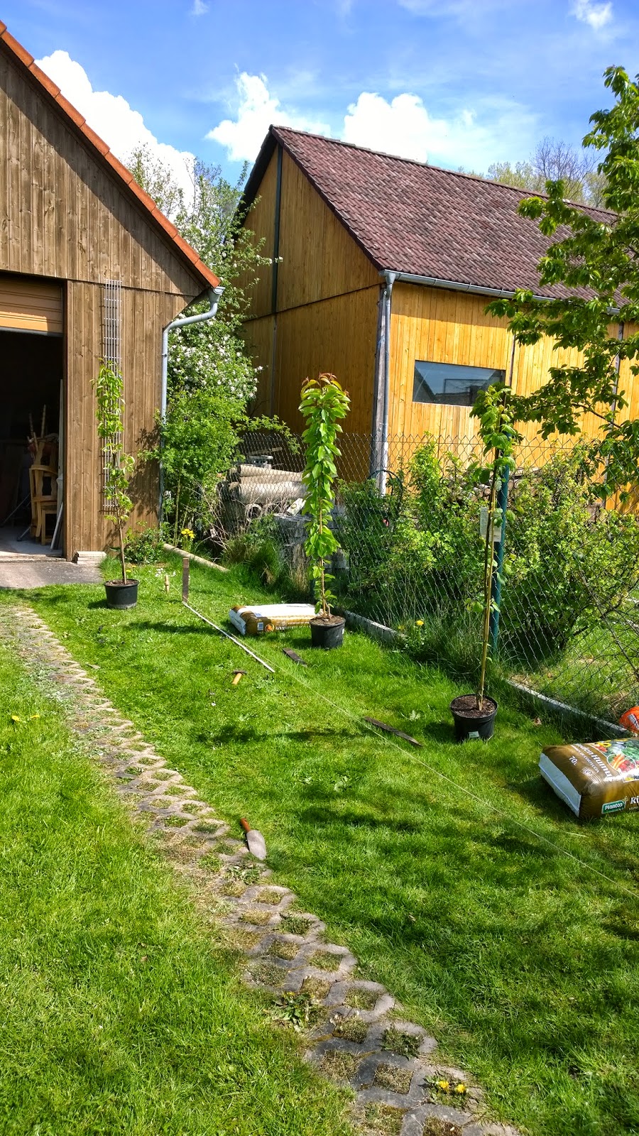 Säulenobstwiese (c) by Joachim Wenk Säulenobstwiese (c) by Joachim Wenk