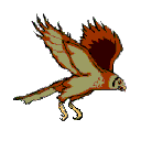 animated flying falcon birds animation different albany eaten actions doing eagle being squirrel bundle enjoy clipart weather minutes