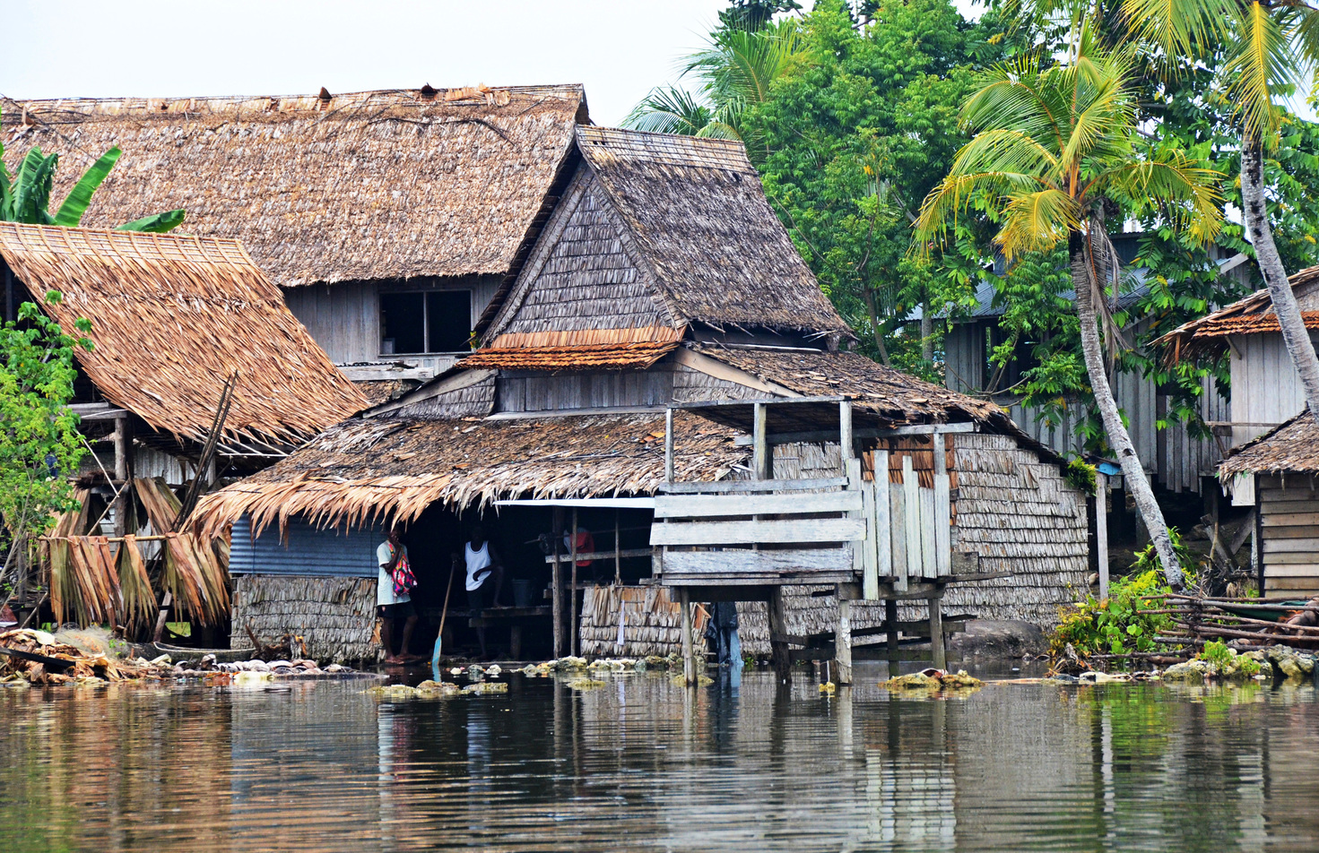 Sea-Level Rise Has Claimed Five Whole Islands In The Pacific: First Scientific Evidence