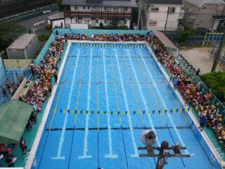 市川市立鬼高小学校のニュース 水泳大会が行われました。
