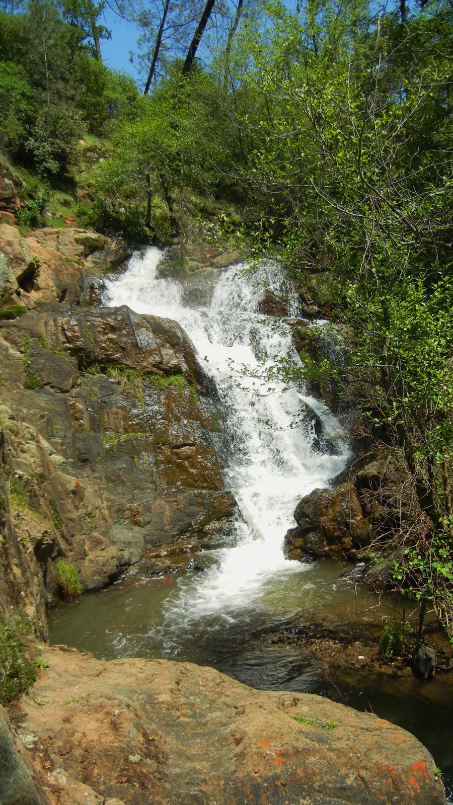 Peachy Hiker Hidden Falls in Placer - Hidden Falls Trail And Waterfall 032 Copy.JPG