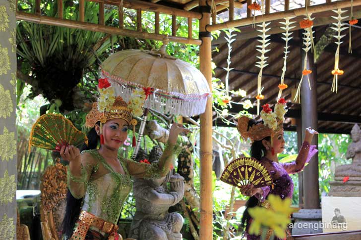 bebek tepi sawah ubud