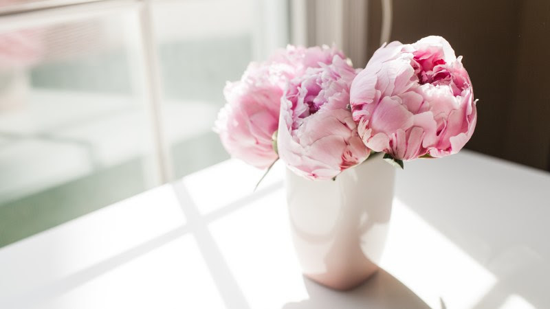 Bouquet of Peonies