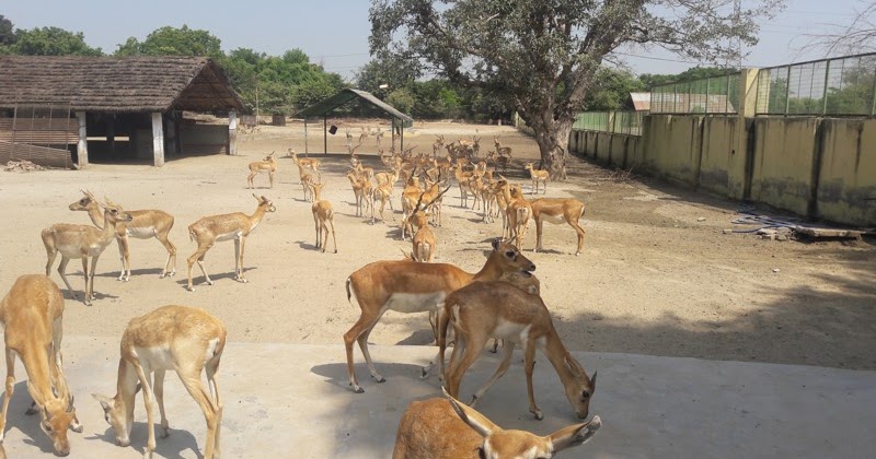 Radha Raman Reti, Baldev Ji Temple, Ras Khan Tomb, 84 Khamba राधा रमन रेती, बलदेव जी मंदिर, रसखान समाधी, 84 खम्बा 