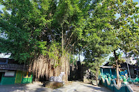 petilasan keraton pajang