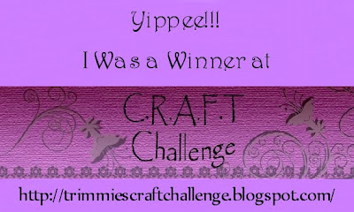 CRAFT CHALLENGE