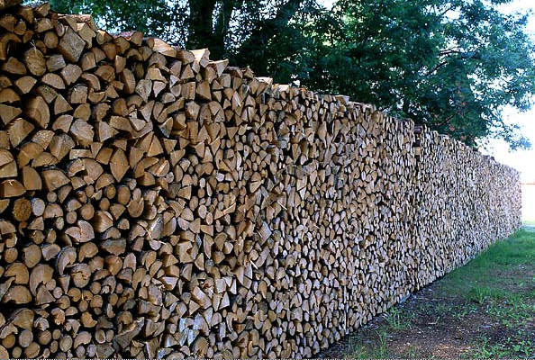 T me private logs. Забор из дров. Забор из поленьев. Декоративный забор из дров. Изгородь из поленьев.