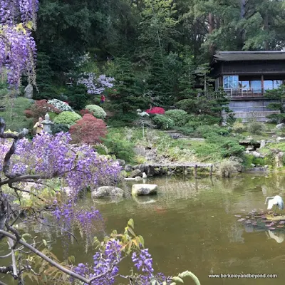 Hill and Pond Garden at Hakone Gardens in Saratoga, California