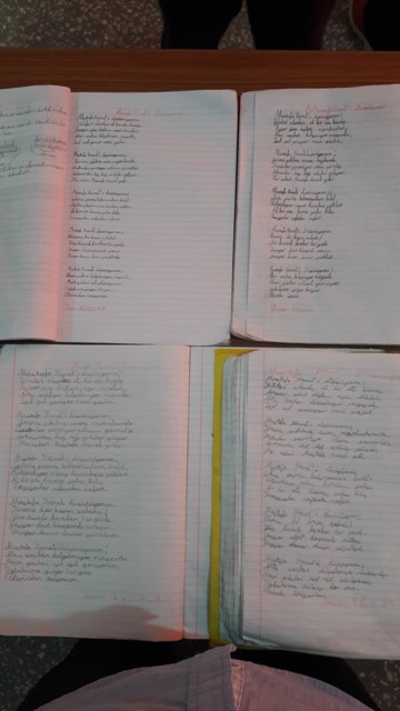 Sinifim Egitim (İlkokul Etkinlikleri)