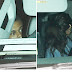 SELENA Y LA SEMANA FESTEJABAN CON RIHANNA... MIENTRAS ERAN TROLEADOS POR JUSTIN