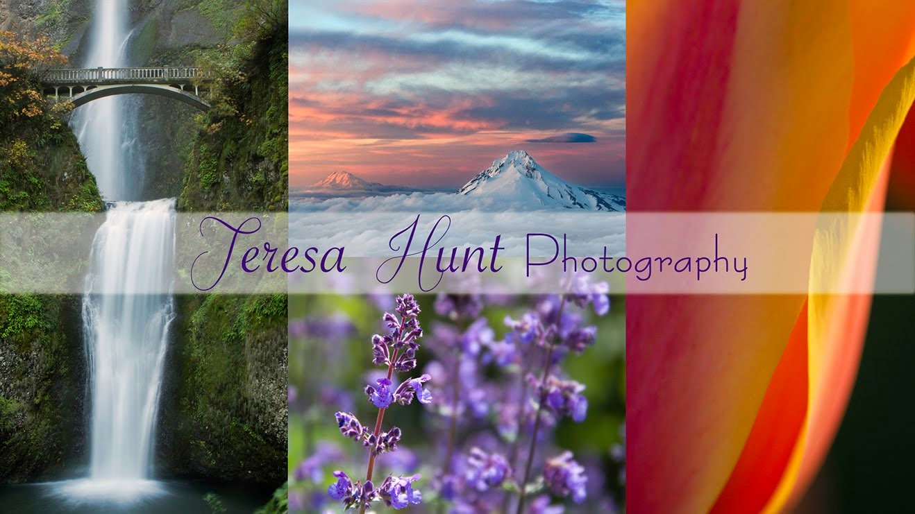 Teresa Hunt Photography