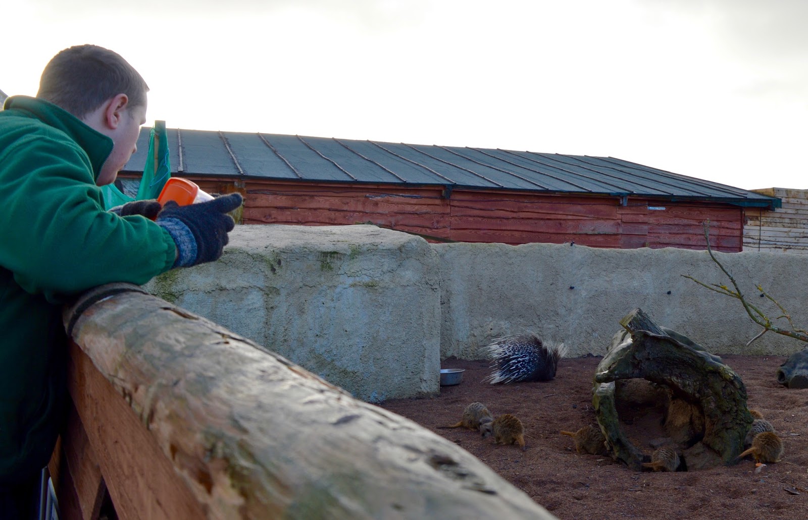 Northumberland Country Zoo Review North East Family Fun