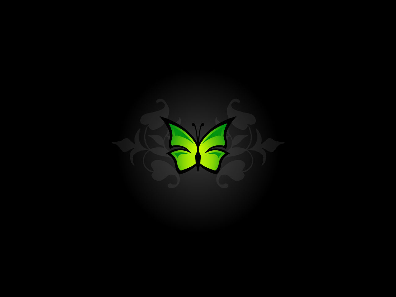 butterfly wallpapers