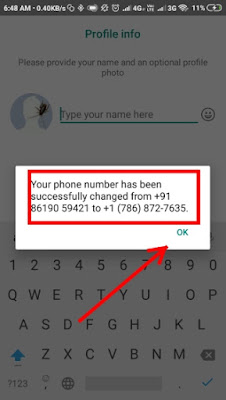 fake whatsapp number