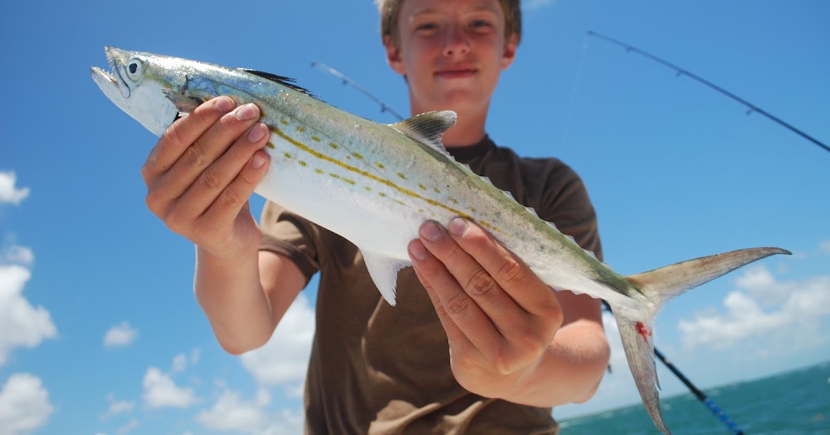 Litton's Fishing Lines Bahia Honda Channel Cero Mackerel, Groupers, Snappers, Bar Jack