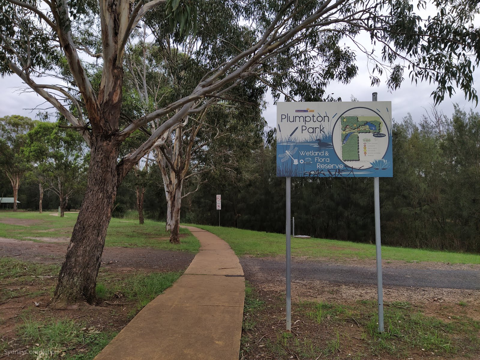 Making Waves: Plumpton - Completing Sydney