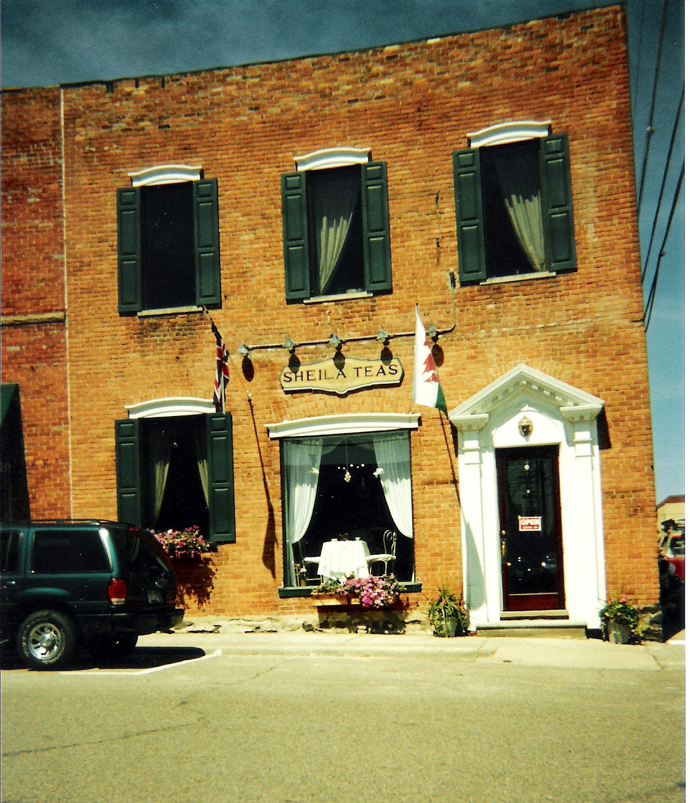 Relevant Tea Leaf Tea Cozies