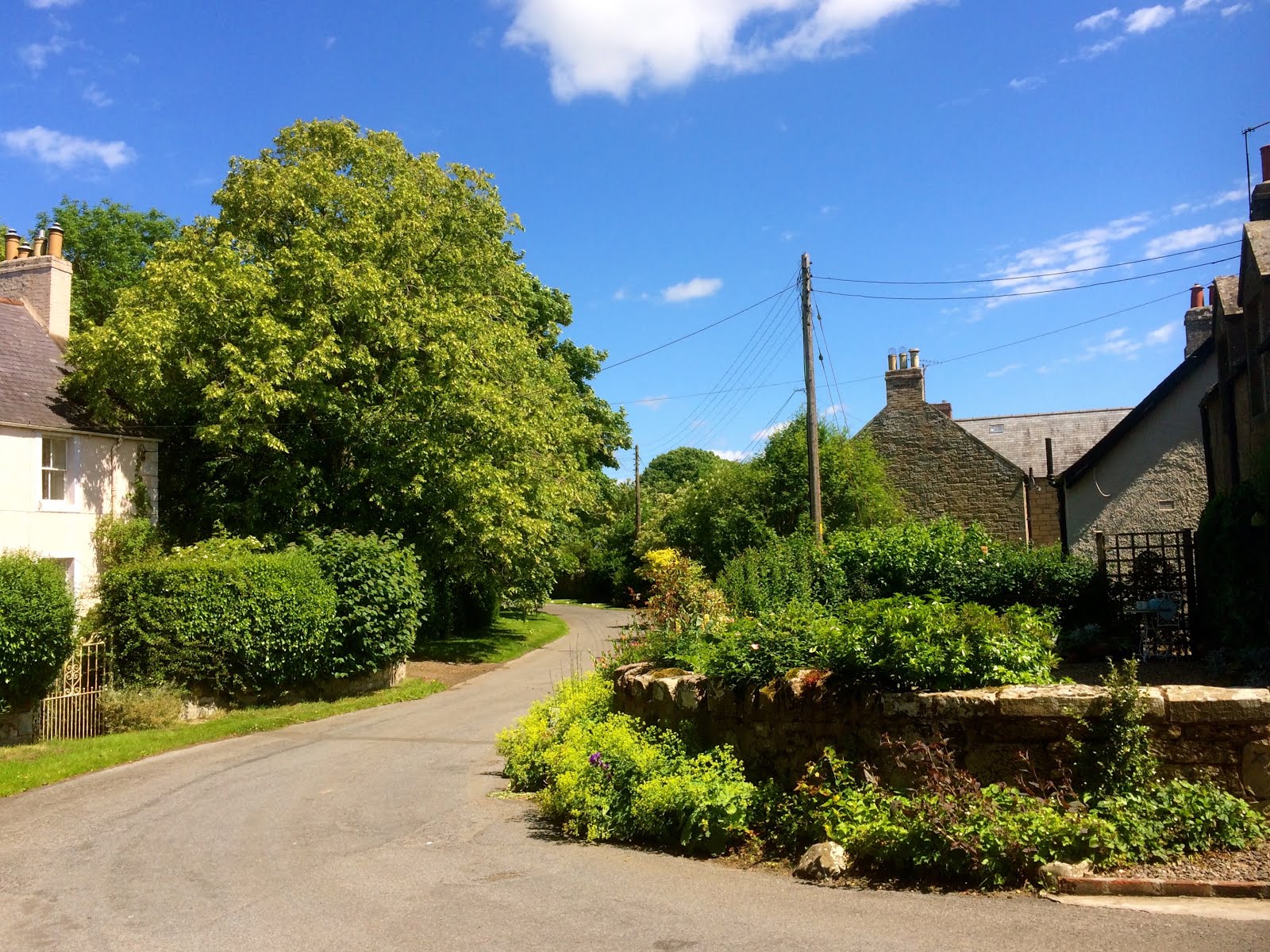 Days out in the Borders Horndean