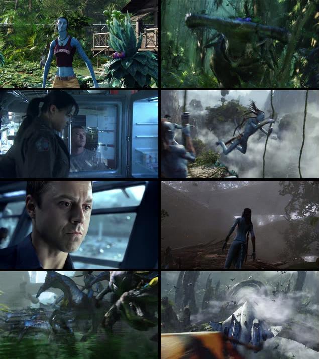 Avatar 2009 Dual Audio Hindi 720p BluRay Avatar 2009 Dual Audio Hindi 720p BluRay