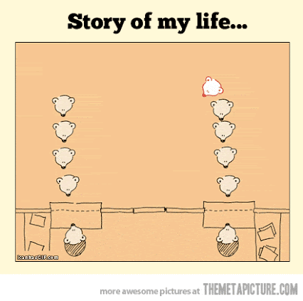 https://4.bp.blogspot.com/-qIDPwhDA994/Ur8EEjXqIBI/AAAAAAAAAeQ/tOwbfRpUBJc/w426-h423-p/funny-gif-bears-in-line-queue.gif