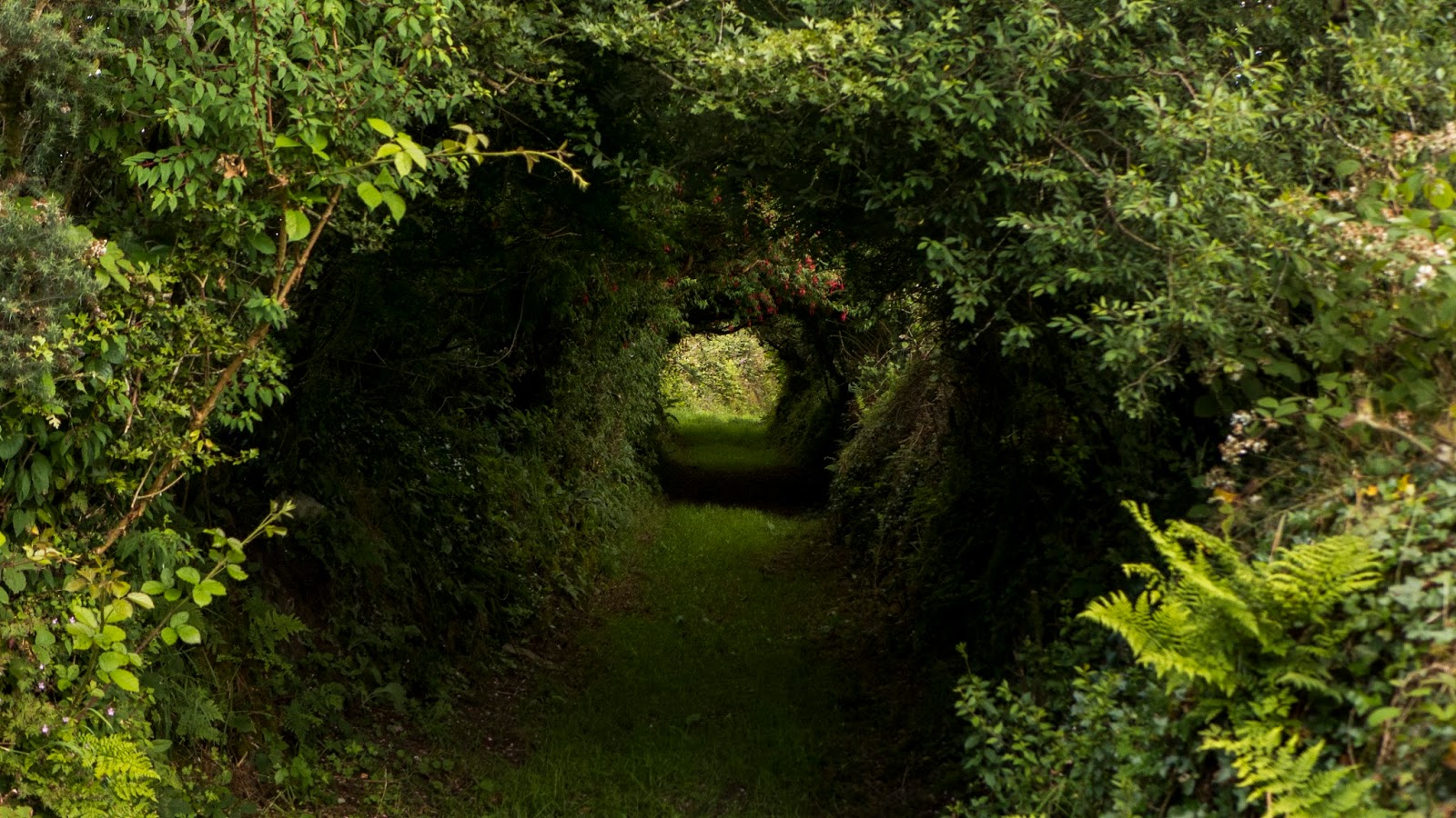 A Backpacker's Life Last Day on Blackwater Way