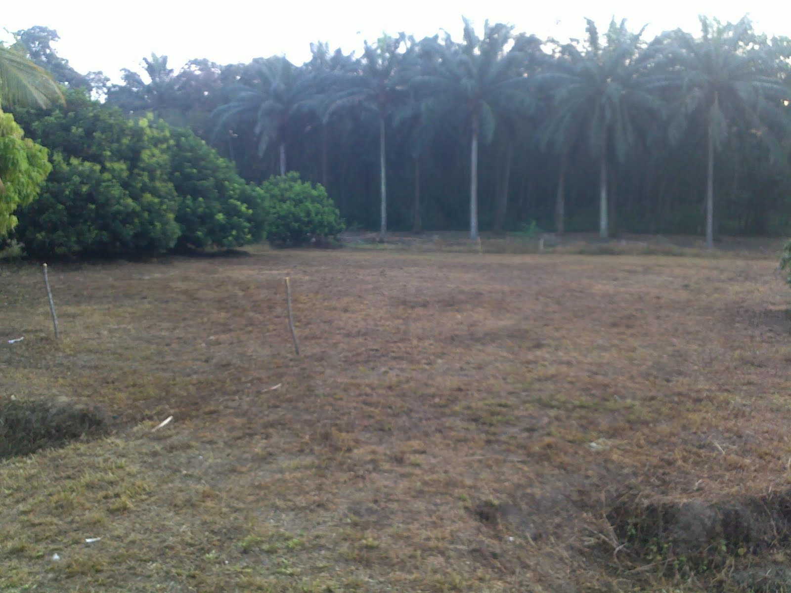 Desa Salak Permata: Venue Liga Futsal KBL 2011