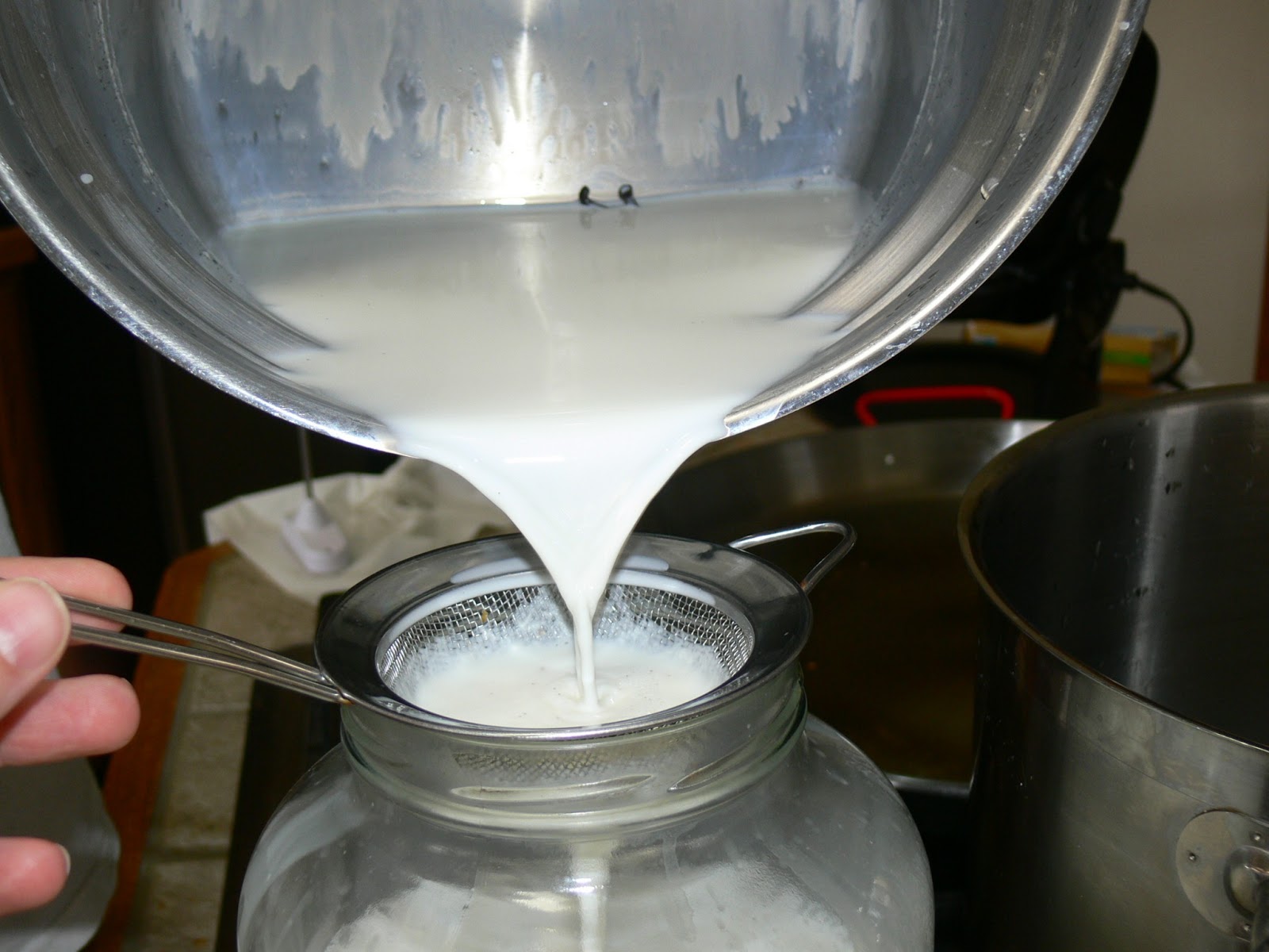 In the Kitchen with Jenny Homemade Yogurt using Dry Culture