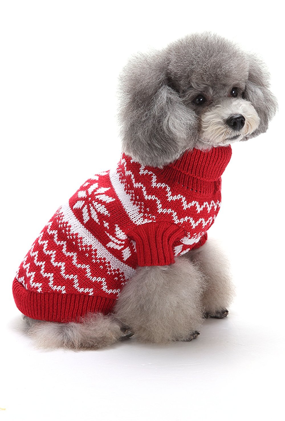 10 Christmas Presents Ideas For Pets Under 50 Holidays Blog For You