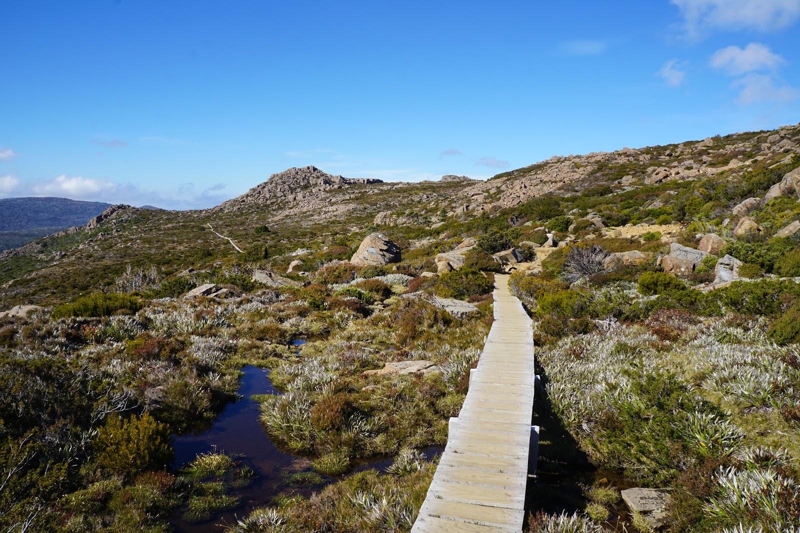 Tarn Shelf Circuit (Mount Field National Park) The Long Way's Better