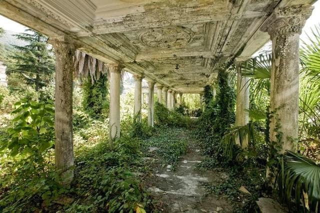 La Naturaleza ocupa lugares abandonados